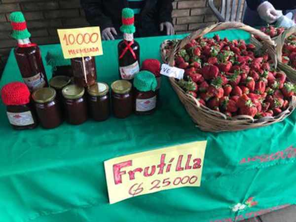 Feria de orquídeas y frutillas por el día de la amistad