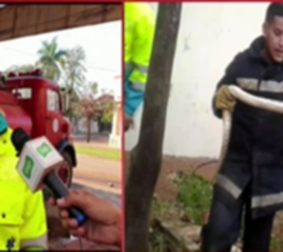 Entró a su auto y encontró una enorme víbora - Paraguay.com