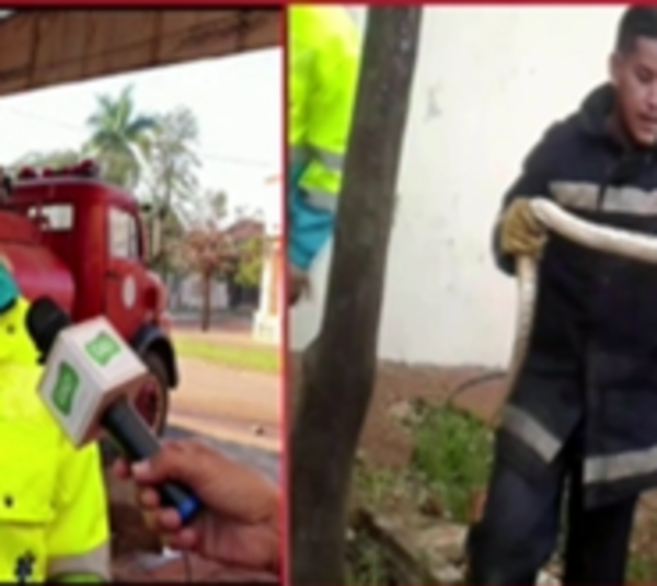 Entró a su auto y encontró una enorme víbora - Paraguay.com
