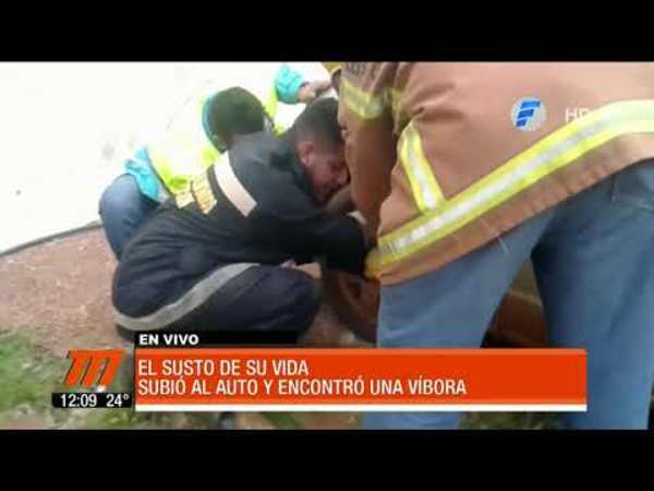 Subió al auto y encontró una víbora