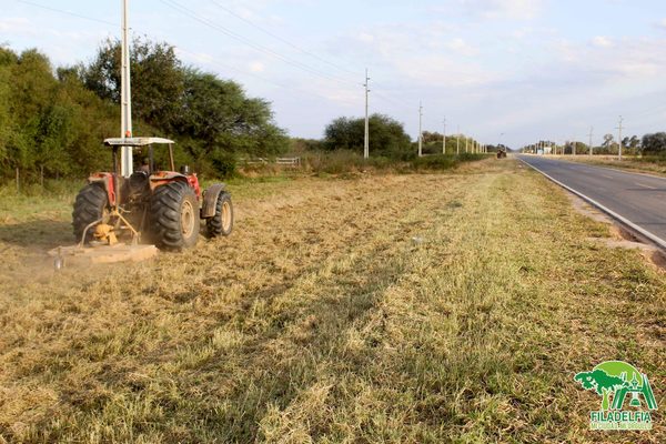 Filadelfia: Ante malezas y quemazones inician limpieza de franja de dominio