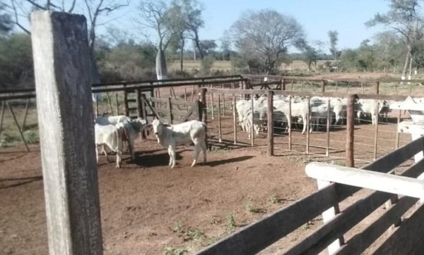 Prisión domiciliaria preocupa en investigación de crimen en el Chaco