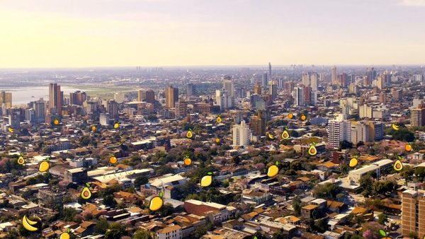 Buscan cuantificar los frutos de Asunción