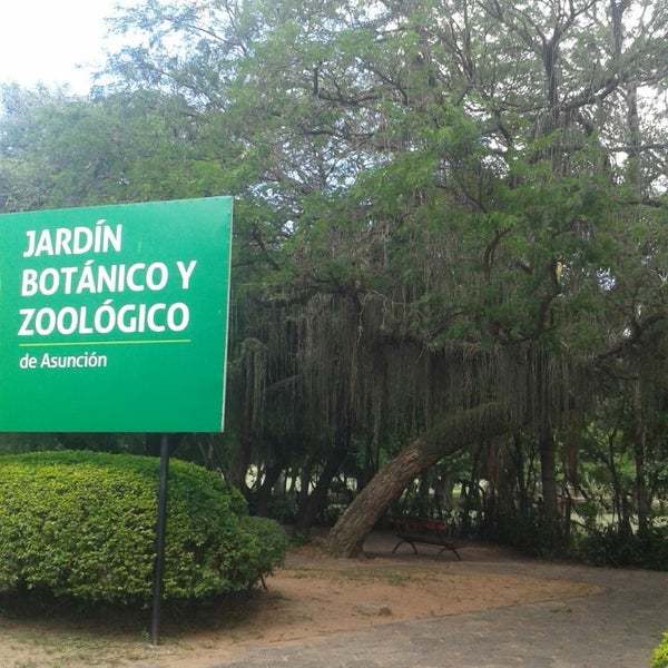 Conflicto entre funcionarios del Zoológico de Asunción y directora provoca que hasta hablen de "quemar el Botánico" - La Unión