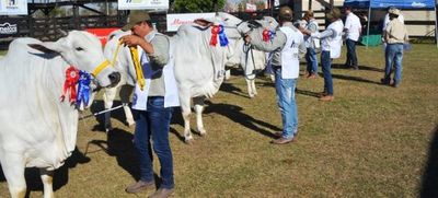 Muestra norteña  se apresta en materia ganadera - ABC Rural - ABC Color