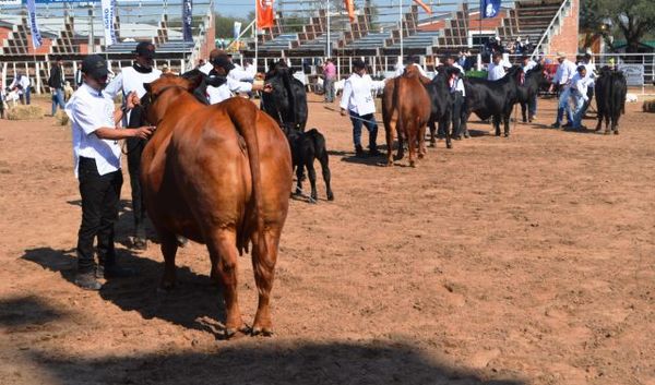 Expo Trébol y 45 años de tradición - ABC Rural - ABC Color