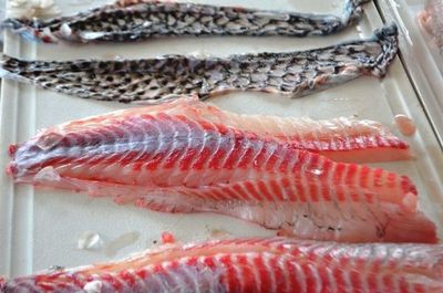 Procesamiento de peces para consumo - ABC Rural - ABC Color