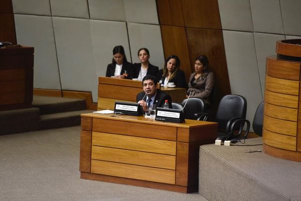 Vicepresidente intermedió por empresa brasileña pero niega que abogado sea su asesor - Nacionales - ABC Color