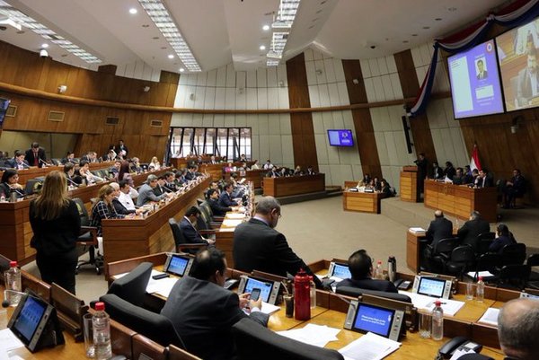 Cámara de Diputados desaprobó creación del Instituto Paraguayo de la Carne