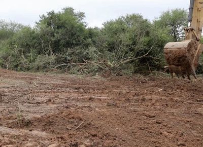 MOPC proyecta abrir nuevo camino en el Chaco