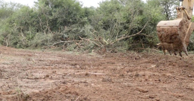 Proyectan abrir la “ruta del arroz” en la zona del Chaco