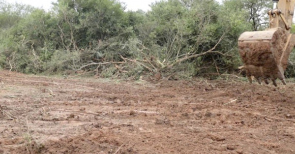 Proyectan abrir la “ruta del arroz” en la zona del Chaco