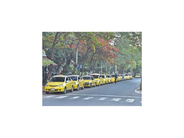 Nueva norma apuntará a dar mayor competitividad a choferes de taxis