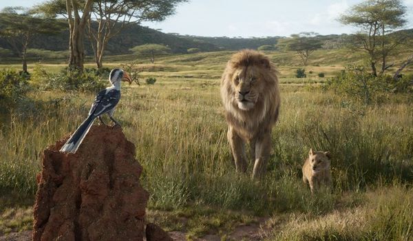 “El rey león” recauda 1.014 millones de dólares en todo el mundo - Cine y TV - ABC Color