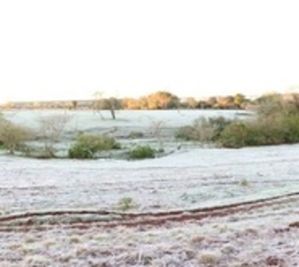 Descenso de temperatura y escarchas para este viernes - Paraguay.com