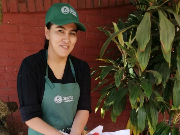 Comité de mujeres produce 10 mil kilos de frutillas