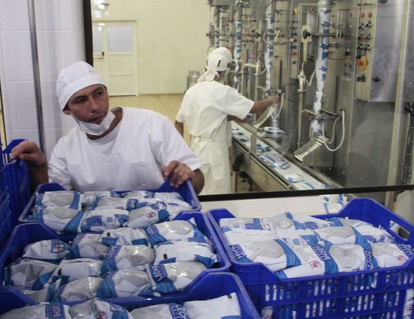 Procesamiento de leche creció 10% en el 1er semestre