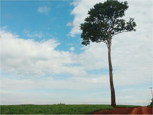 Itaipú no respetó ley  y dejó a empresarios 50 mil hectáreas