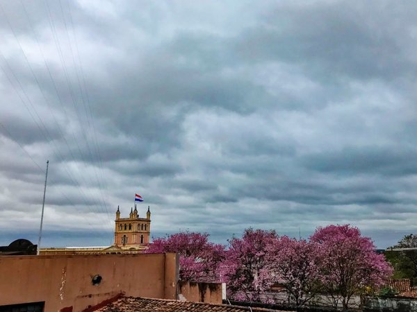 Ráfagas de viento llegaron hasta los 80 kilómetros por hora