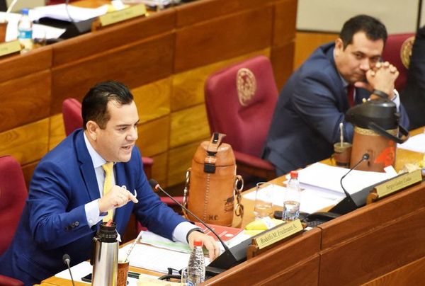 Friedmann insiste en que HC fraguó el juicio político a Mario Abdo - Nacionales - ABC Color
