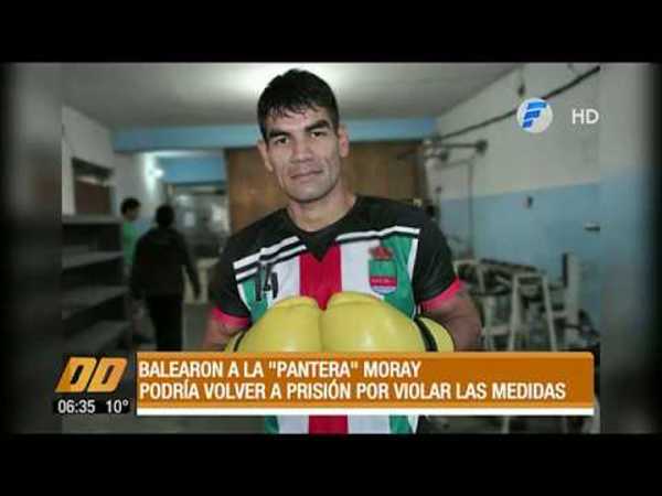 Balearon a la “Pantera Moray“