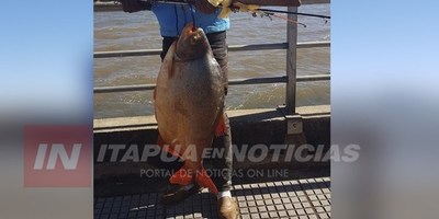 PESCAN PACÚ DE 25 KG EN PLENA COSTANERA DE ENCARNACIÓN