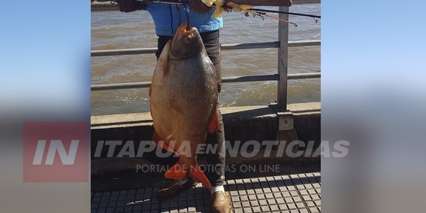 PESCAN PACÚ DE 25 KG EN PLENA COSTANERA DE ENCARNACIÓN