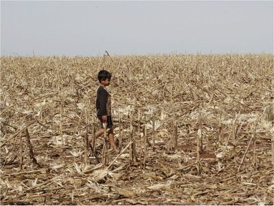 Indígenas expulsados por la Itaipú sufren invasión sojera