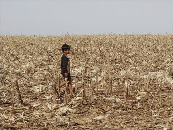 Indígenas expulsados por la Itaipú sufren invasión sojera