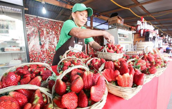 Paraguarí recibe este fin de semana a la Expo Frutilla » Ñanduti