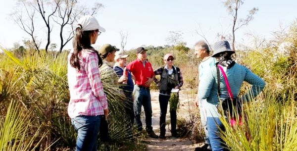 Ante incendios, Mades realiza plan de cuidado de Cerro Corá - Locales - ABC Color