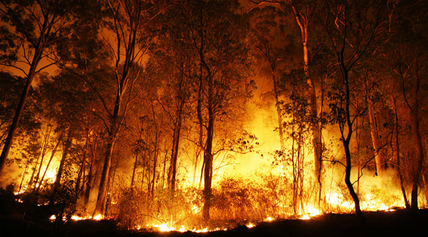 Los incendios en Siberia abarcan un superficie de 2,4 millones de hectáreas | .::Agencia IP::.