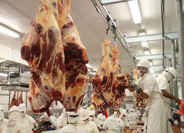 Paraguay mejoró 4,2% las exportaciones de carne vacuna en Chile