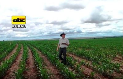 Programa ABC Rural Tv 893 - ABC Rural - ABC Color