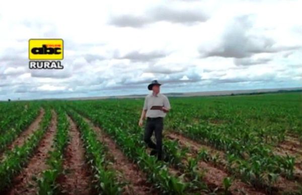 Programa ABC Rural Tv 893 - ABC Rural - ABC Color