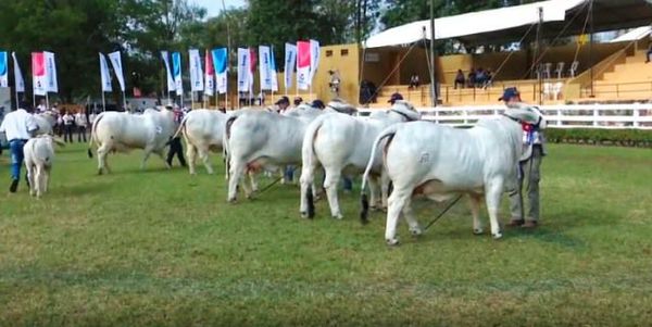 Ganadería en la Expo Internacional 2019 - ABC Rural - ABC Color