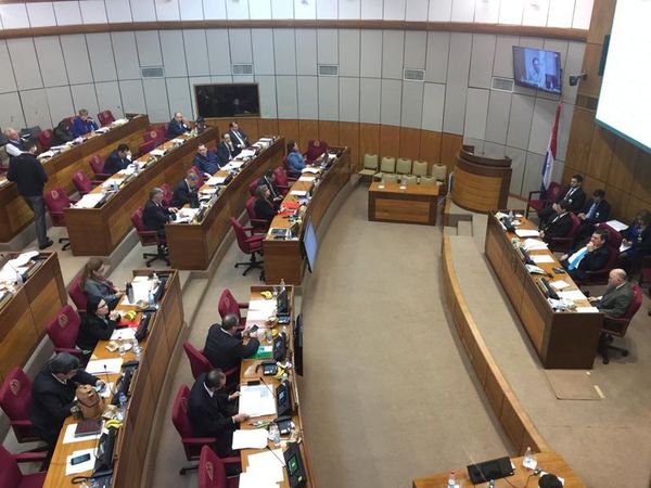 Senado autoriza ingreso de tropas de EE.UU. pese al rechazo opositor - Nacionales - ABC Color