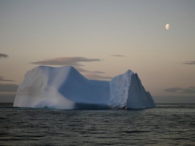 Episodios de altas temperaturas oceánicas se hacen más frecuentes