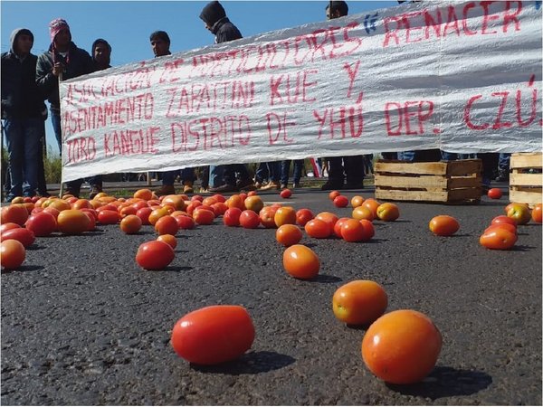 Tomateros exigen mayor control de contrabando ante baja cotización