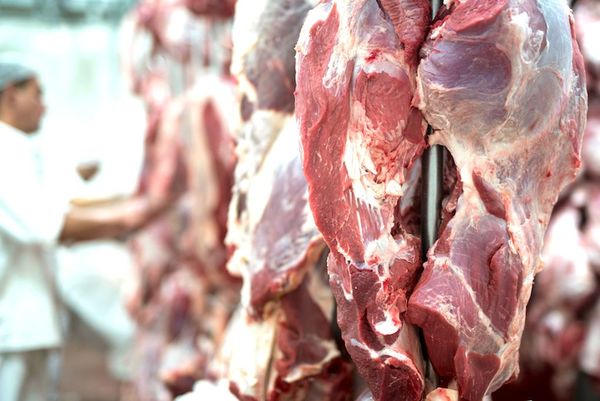Facturación por exportación de carne vacuna descendió 7,2% hasta julio