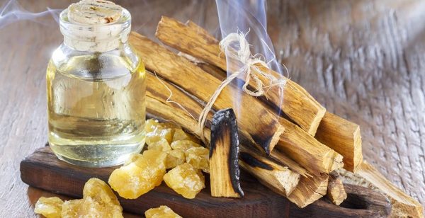 Cupo máximo de exportación de palo santo es de 1.400 toneladas