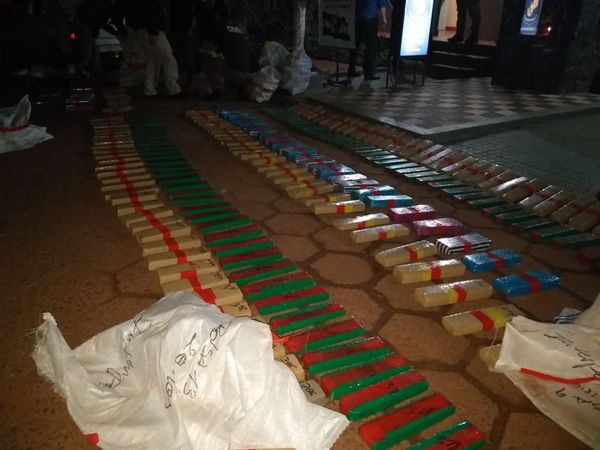 Interpol incauta más de 350 kilos de marihuana en Pedro Juan Caballero - Nacionales - ABC Color