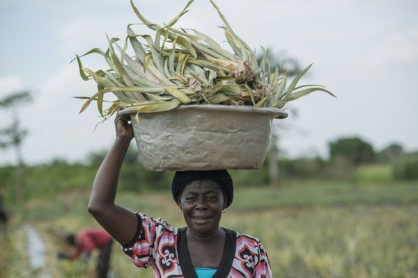 La emancipación de las mujeres, arma para el mundo