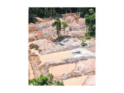 Bolsonaro insiste en el  desarrollo de la Amazonia