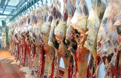 “El peor momento histórico” de la carne en Paraguay - Nacionales - ABC Color