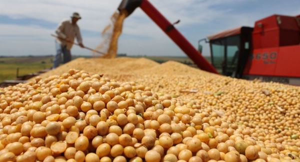 Guerra comercial podría afectar al país