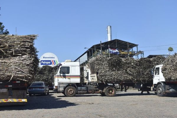 Prohíben el ingreso a cañicultores que no hicieron hurras a Abdo - Nacionales - ABC Color