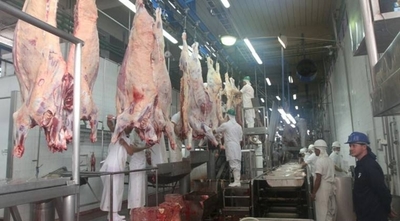 HOY / Bajos precios y pérdidas: la carne paraguaya atraviesa por "su peor momento histórico"