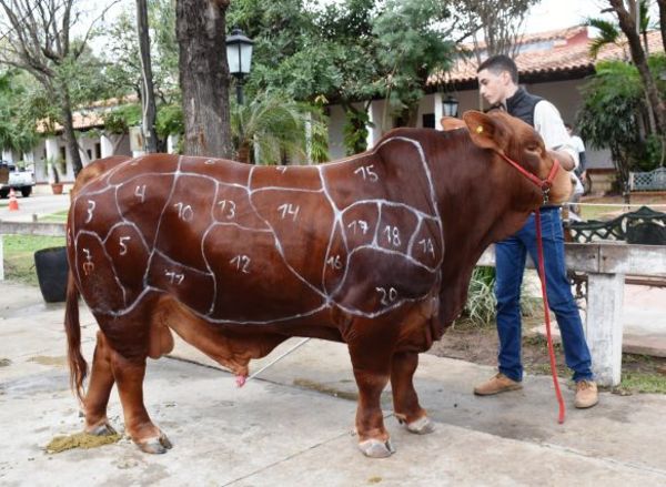 Bienestar animal y calidad de los cortes cárnicos - ABC Rural - ABC Color