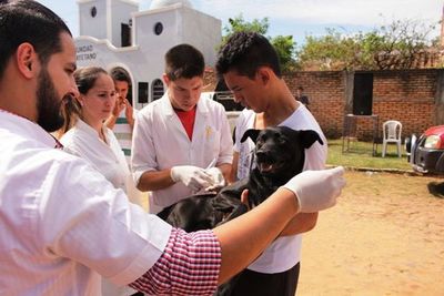 Actualizar Ley sobre la profesión veterinaria - ABC Rural - ABC Color